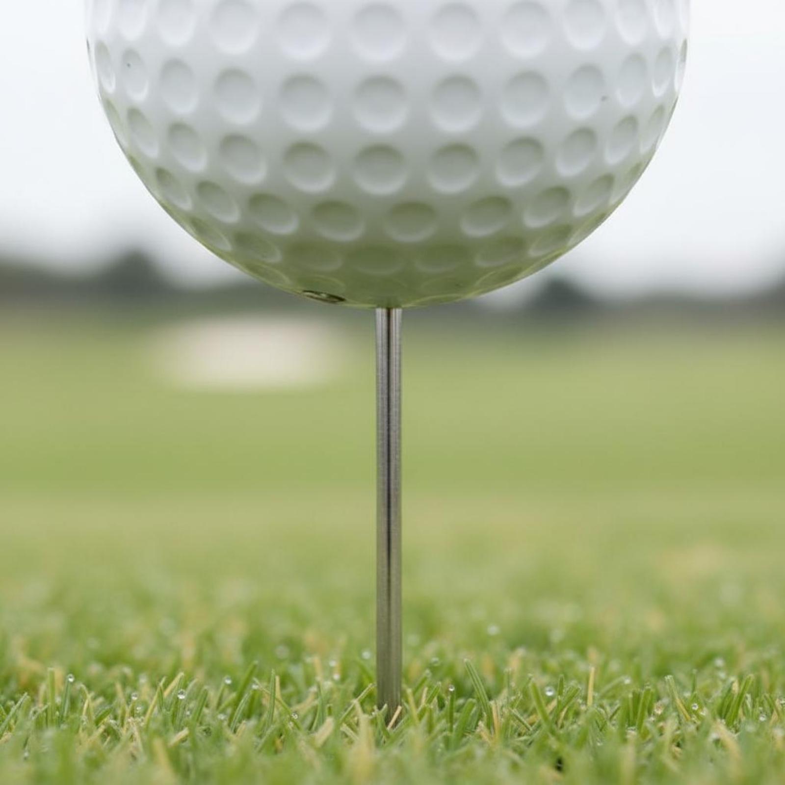 Маркер для мячей для гольфа Co – обзор и цена Golf Tees