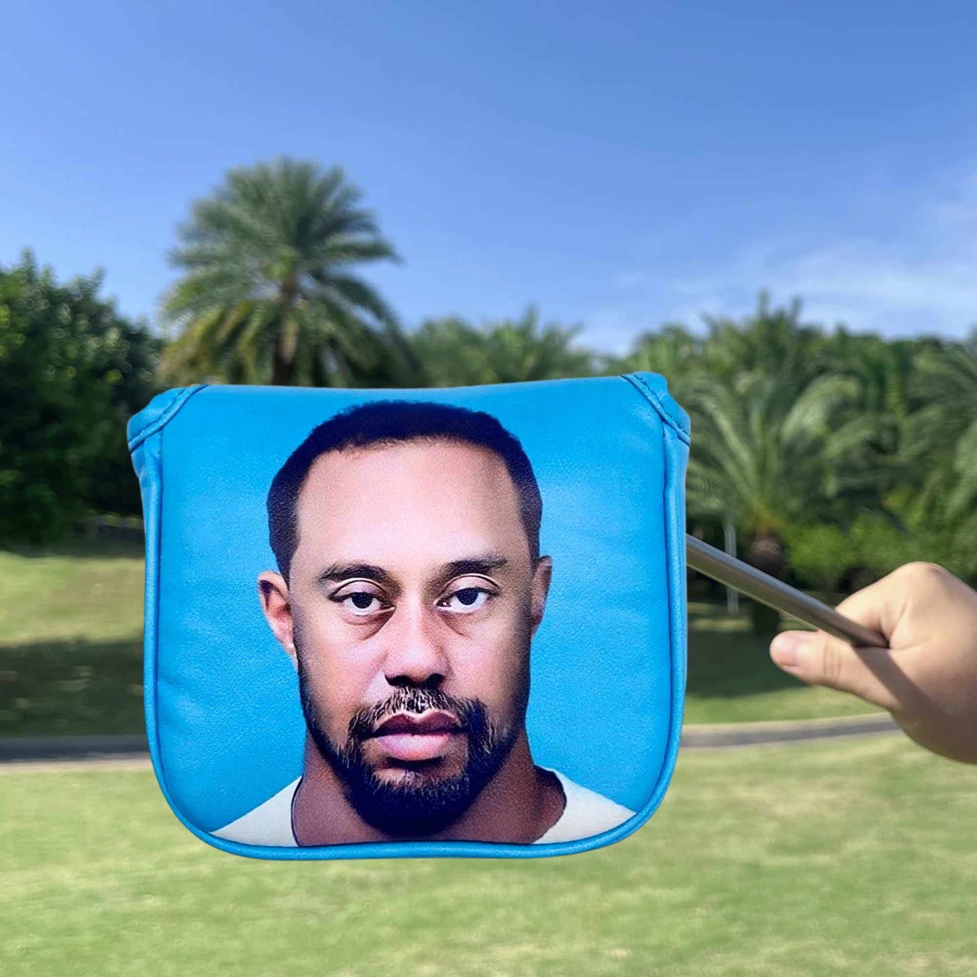 Забавный чехол для головы с мо – обзор и цена Golf Tees